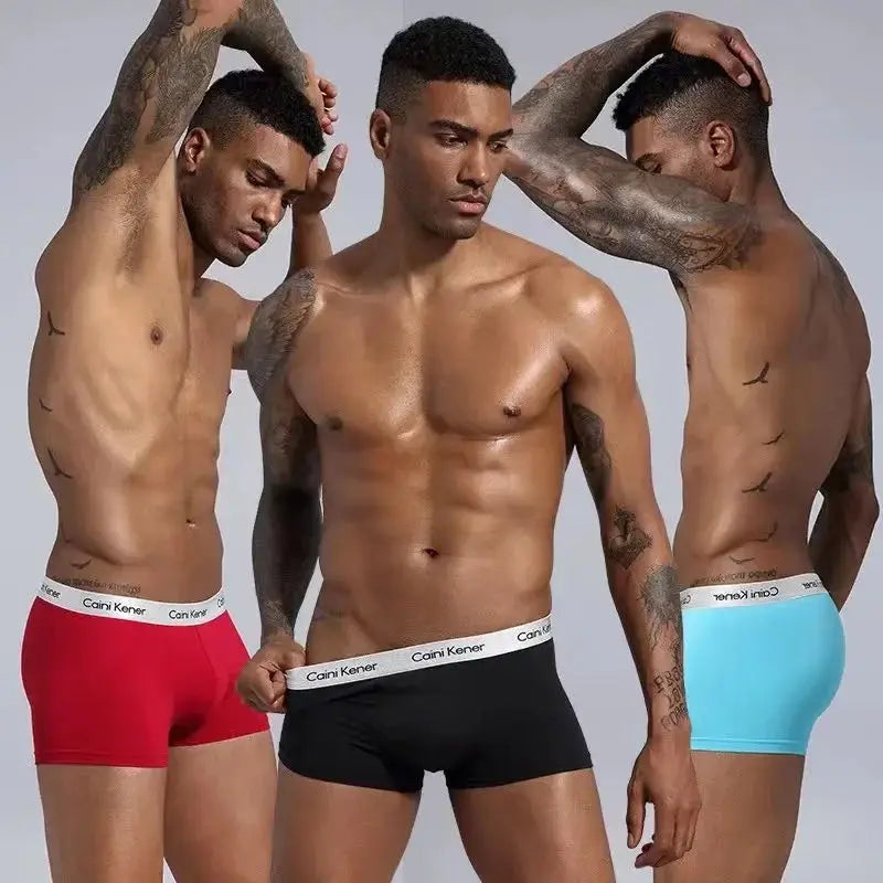 4/5Pcs/Men's Shorts Fashion Sexy Underwear Boxer